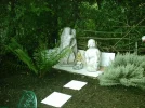 garten neu 015.webp
