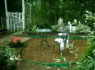 garten neu 029.webp