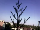 Bild020.webp