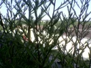 Bild021.webp