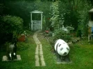 garten neu 030.webp